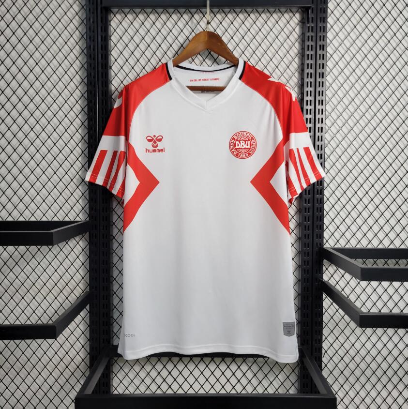 Maillot Dinamarca Extérieur 23/24