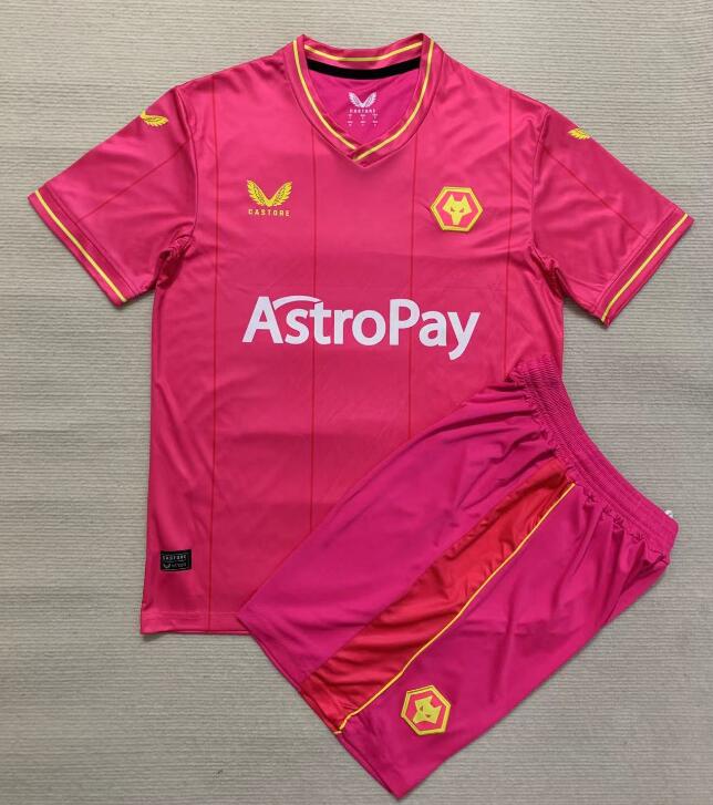 Maillot Gardien Wolves Rosa 23/24